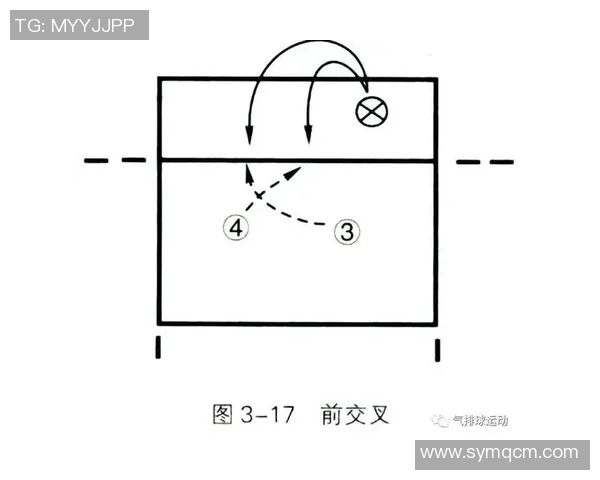 上海排球队中路突破分析与战术反思探讨