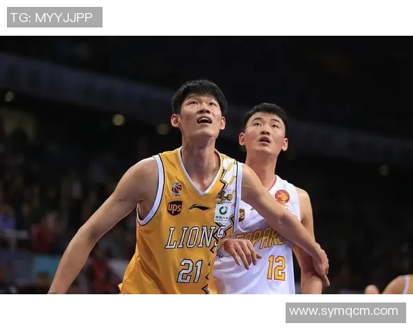 深圳排球队个人能力引发热议球员表现与团队协作的深度探讨 深圳排球队个人能力引发热议球员表现与团队协作的深度探讨