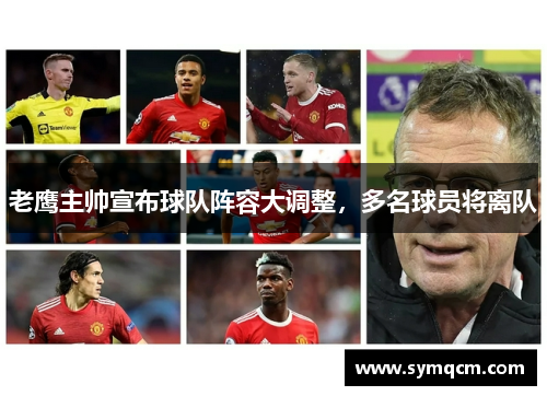 老鹰主帅宣布球队阵容大调整，多名球员将离队